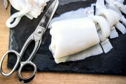 Cisaille à Volailles Inox