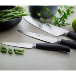 Coffret 3 Couteaux forgés Clara