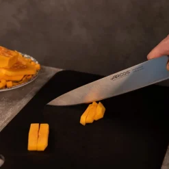 Couteau Cuisine Série Brooklyn 250 mm