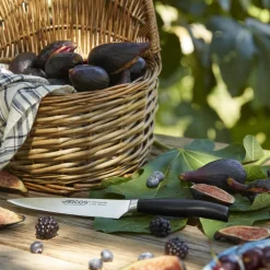 COUTEAU CUISINE SÉRIE CLARA 150 MM