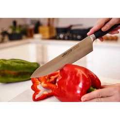 COUTEAU CUISINE SÉRIE CLARA 200 MM