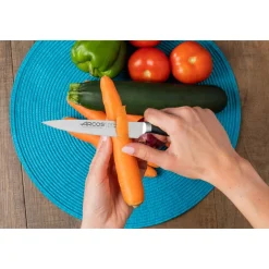 COUTEAU LÉGUMES SÉRIE CLARA 130 MM