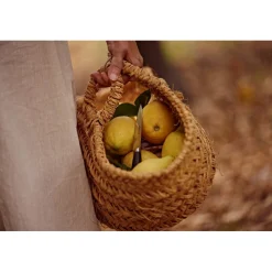 COUTEAU OFFICE SÉRIE CLARA 100 MM