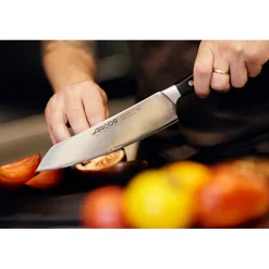 Couteau Rocking Santoku Manhattan 190 mm