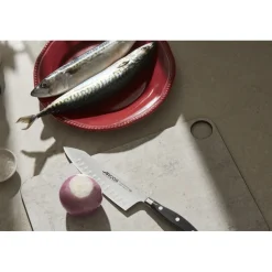 Couteau Rocking Santoku Riviera 180 mm