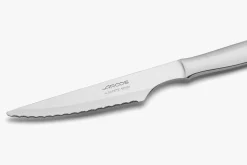 Set de 6 couteaux à steak forgés en acier inoxydable