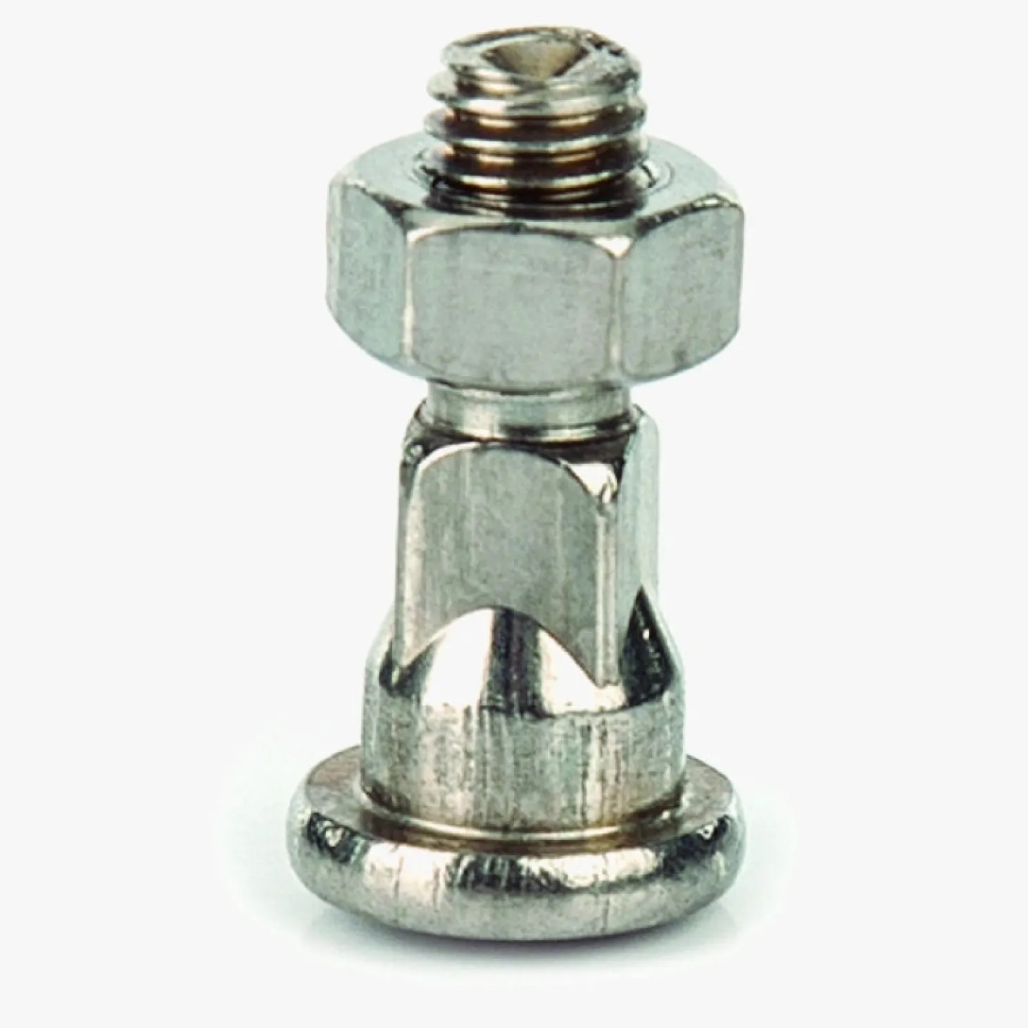 Vis pour Cisaille à Volailles 250 mm